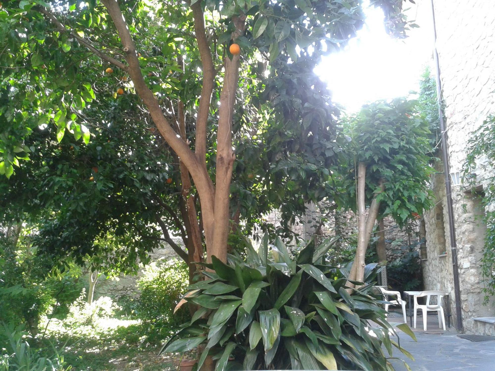 Casa Rural Corvina Acebo Εξωτερικό φωτογραφία