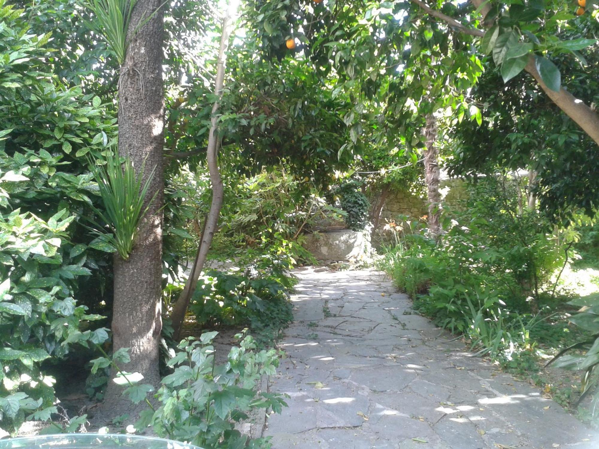 Casa Rural Corvina Acebo Εξωτερικό φωτογραφία