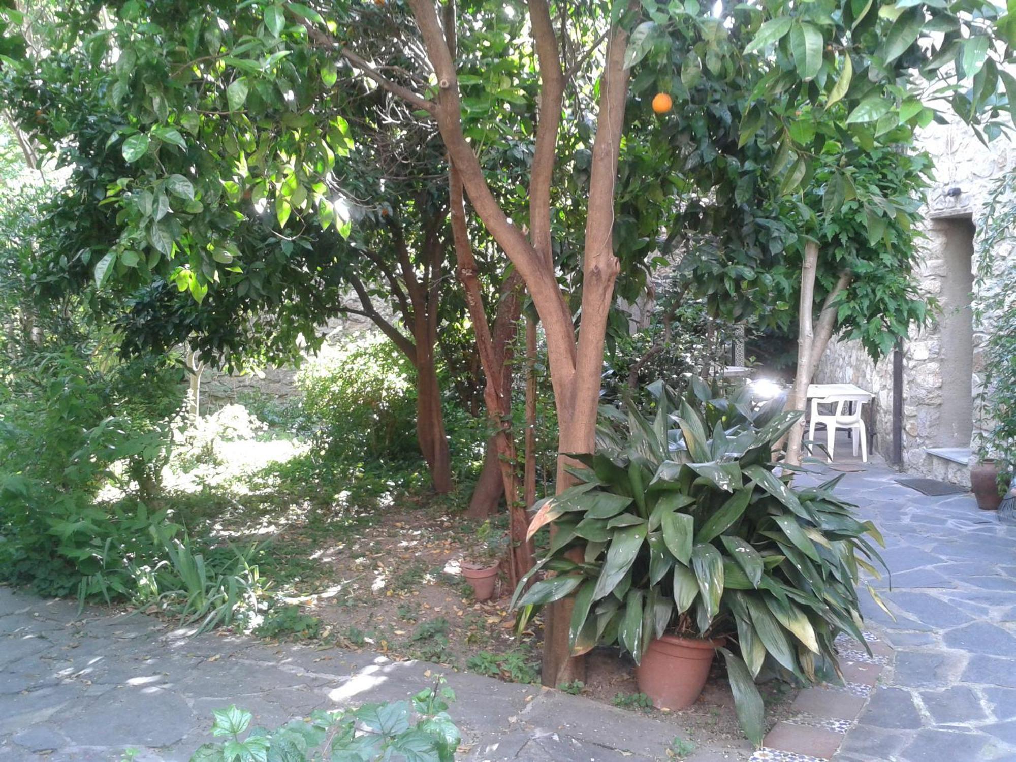 Casa Rural Corvina Acebo Εξωτερικό φωτογραφία