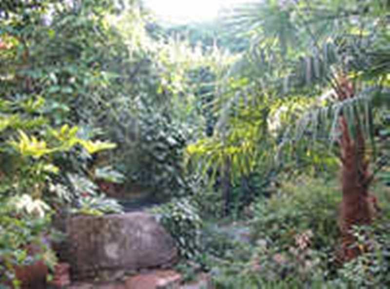 Casa Rural Corvina Acebo Εξωτερικό φωτογραφία